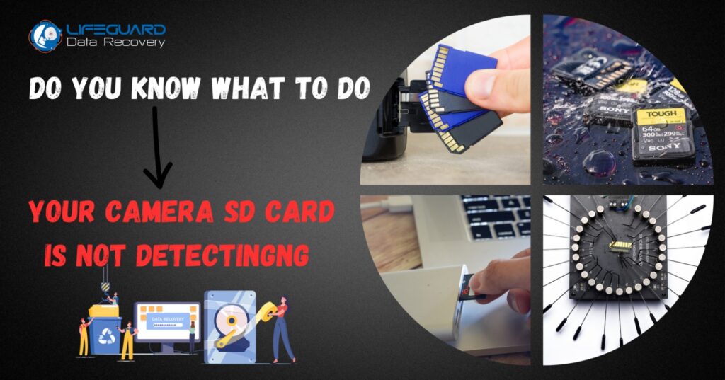 Camera SD Card is Not detecting